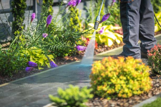 Best Winterizing Services  in Bellair Meadowbrook Terrace, FL